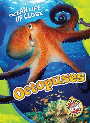 Octopuses by Christina Leaf