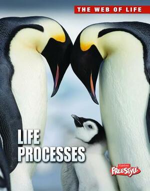Life Processes by Anna Claybourne