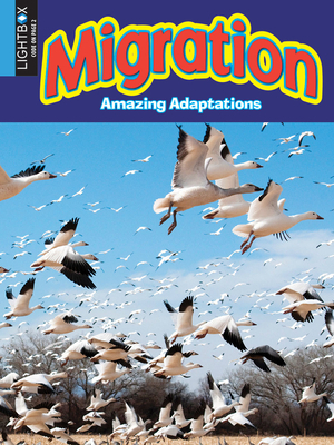 Migration by Megan Kopp