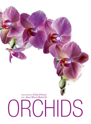 Orchids by Natalia Fedeli, Fabio Petroni
