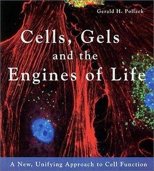 Cells, Gels and the Engines of Life: A New, Unifying Approach to Cell Function by Gerald H. Pollack, Gerald H. Pollack