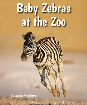 Baby Zebras at the Zoo by Eustacia Moldovo