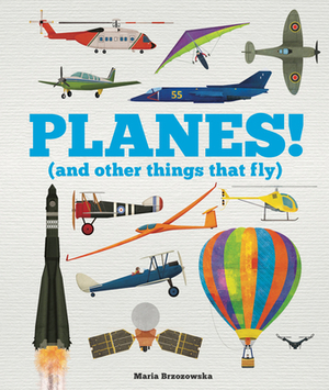 Planes!: (and Other Things That Fly) by Children's Welbeck