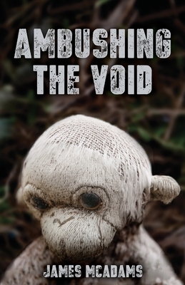 Ambushing the Void by James McAdams