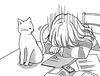 oemajo's profile picture