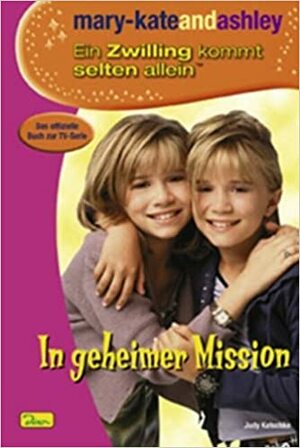 In geheimer Mission by Judy Katschke