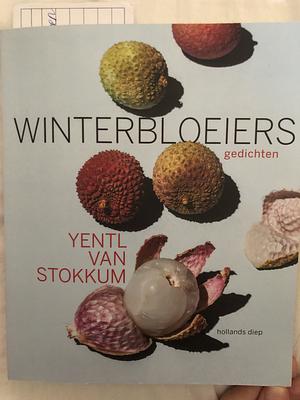 Winterbloeiers by Yentl van Stokkum