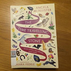 The Time Travelling Stone by Angela Mc Allister