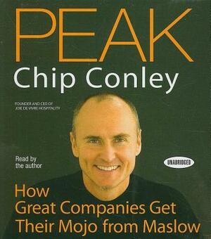 Peak: How Great Companies Get Their Mojo from Maslow by Chip Conley