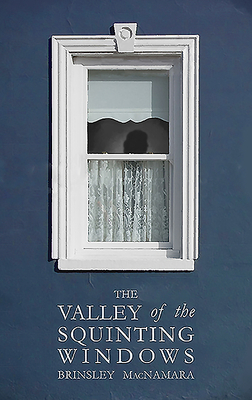 The Valley of the Squinting Windows by Brinsley McNamara