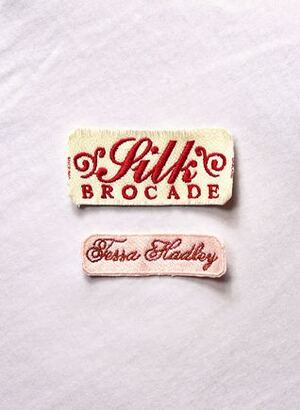 Silk Brocade by Tessa Hadley, Javier Jaén