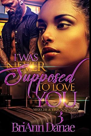 I Was Never Supposed To Love You 3: Meechi & Erica's Story by BriAnn Danae