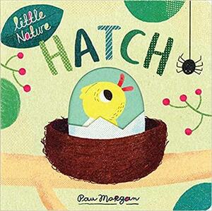 Hatch by Isabel Otter