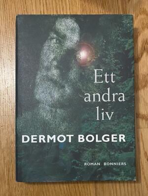 Ett andra liv by Dermot Bolger