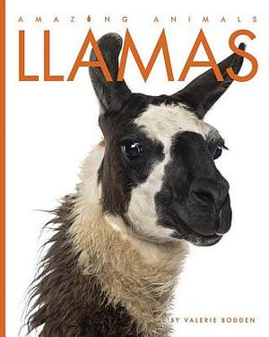 Llamas by Valerie Bodden