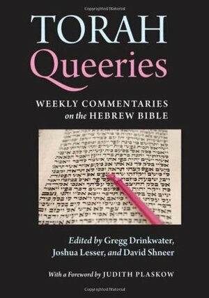 Torah Queeries by Lesser Joshua, Gregg Drinkwater, Joshua Lesser, David Shneer, Judith Plaskow