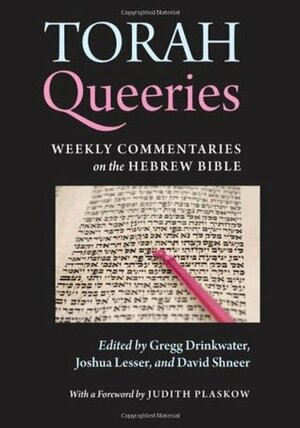 Torah Queeries by Judith Plaskow, David Shneer, Gregg Drinkwater, Joshua Lesser, Lesser Joshua