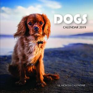 Dogs Calendar 2019: 16 Month Calendar by Mason Landon