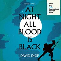 At Night All Blood is Black by David Diop