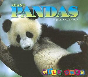 Giant Pandas by Jill Anderson