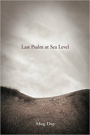 Last Psalm at Sea Level by Meg Day