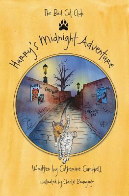 Harry's Midnight Adventure by Catherine Campbell, Chantal Bourgonje