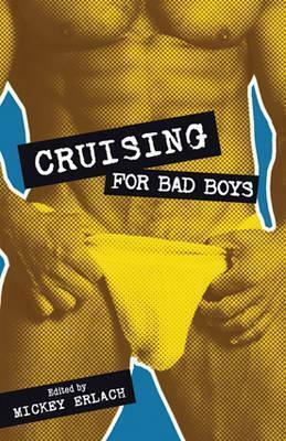 Cruising for Bad Boys by David Holly, Christopher Pierce, Ryan Field, Mykola Dementiuk, Mickey Erlach, David C. Muller, Rob Rosen, Martin Delacroix, Amanda Young, Owen Keehnen, Derrick Della Giorgia, Jamie Freeman, Stephen Osborne, Barry Lowe, Xan West, Jay Starre