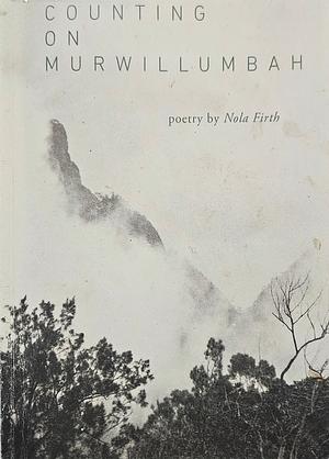 Counting on Murwillumbah by Nola Firth