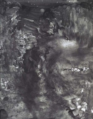 Jasper Johns: Drawings by Mark Rosenthal