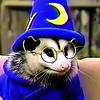 lys_chey's profile picture