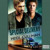 Special Delivery by Heidi Cullinan