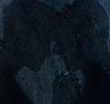 moreensl's profile picture