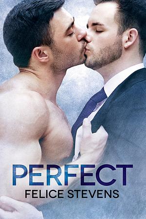 Perfect by Felice Stevens