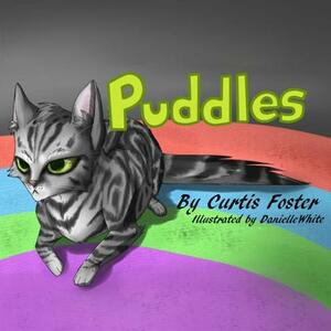 Puddles by Curtis Foster