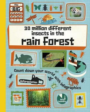 30 Million Different Insects in the Rainforest by Paul Rockett