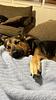 _mechita's profile picture