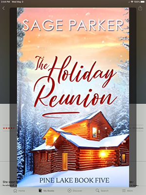 The Holiday Reunion by Sage Parker