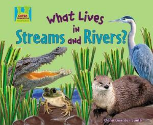 What Lives in Streams and Rivers? by Oona Gaarder-Juntti