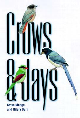 Crows and Jays by Steve Madge, Hilary Burn