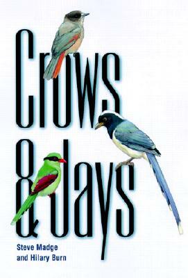 Crows and Jays by Hilary Burn, Steve Madge