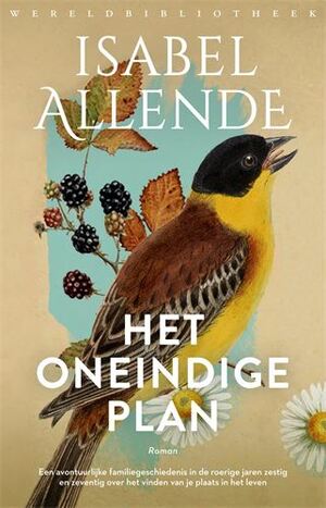 Het oneindige plan by Isabel Allende