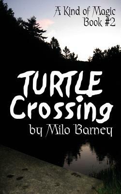 Turtle Crossing by Milo Barney