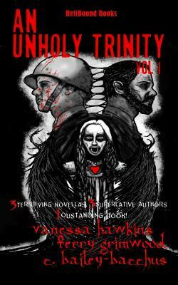 An Unholy Trinity: 3 Terrifying Novellas, 3 Superlative Authors,1 Outstanding Book by Vanessa Hawkins, C. Bailey-Bacchus, Terry Grimwood