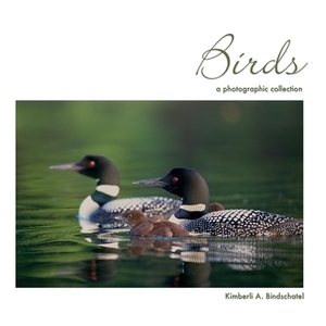 Birds: a photographic collection by Kimberli a. Bindschatel