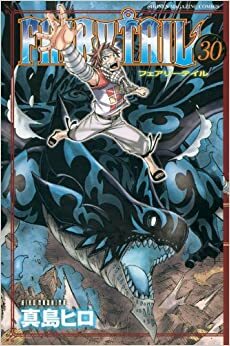 Fairy Tail, Vol. 30 by Hiro Mashima