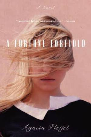 A Fortune Foretold by Agneta Pleijel