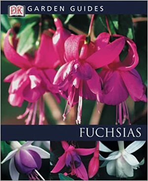 Fuchsias by Richard Rosenfeld