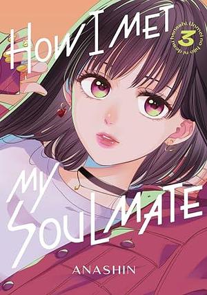 How I Met My Soulmate Vol. 3 by Anashin, Anashin