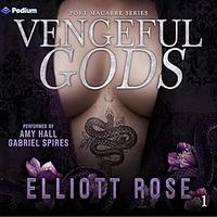 Vengeful Gods by Elliott Rose