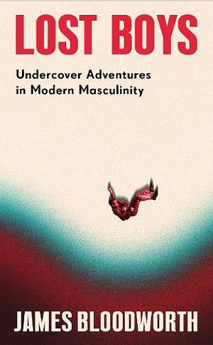 Lost Boys: Undercover Adventures in Toxic Masculinity by James Bloodworth